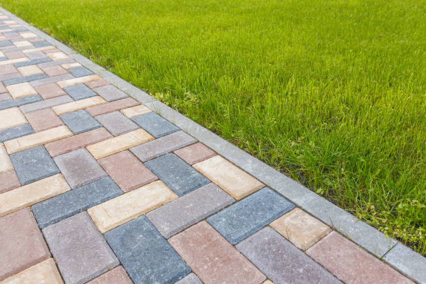 Best Professional Driveway Pavers  in Avalon, NJ